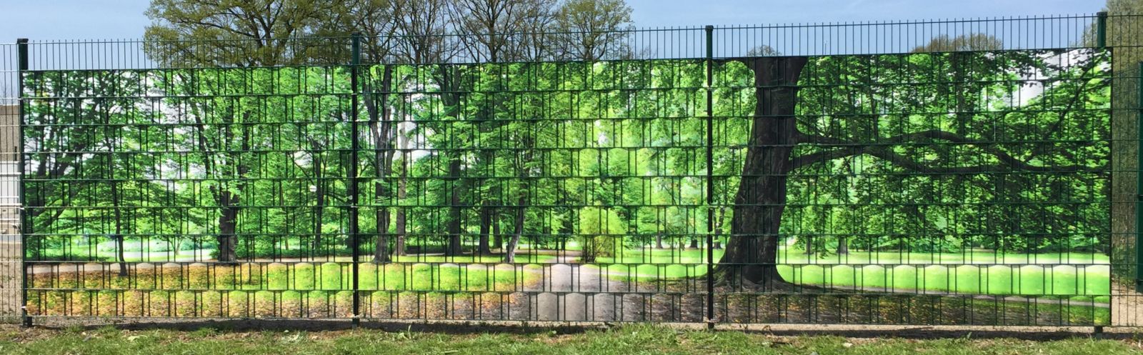 Motiv Park Panorama XXL a 70,2 lfd.m. Sichtschutzstreifen für