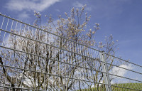 DSMS 1,80 m hoch 2,51 m lang verzinkt DSMS 1,80 m hoch 2,51 m lang verzinkt