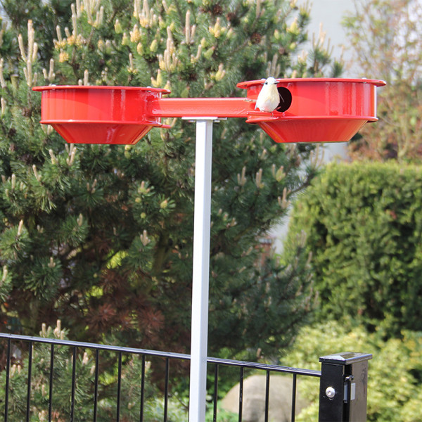 Halterung für Vogel-Rastplatz