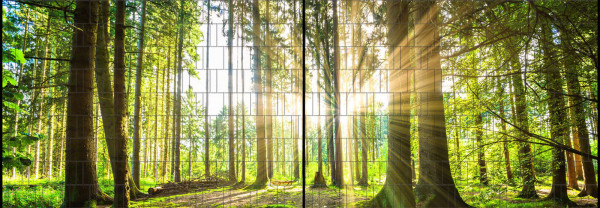 Motiv Wald - Panorama XL Sichtschutzstreifen für Doppelstabmattenzaun