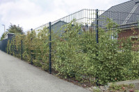 DSML Höhe 1,00 m Länge 2,51 m RAL7016 DSML Höhe 1,00 m Länge 2,51 m RAL7016